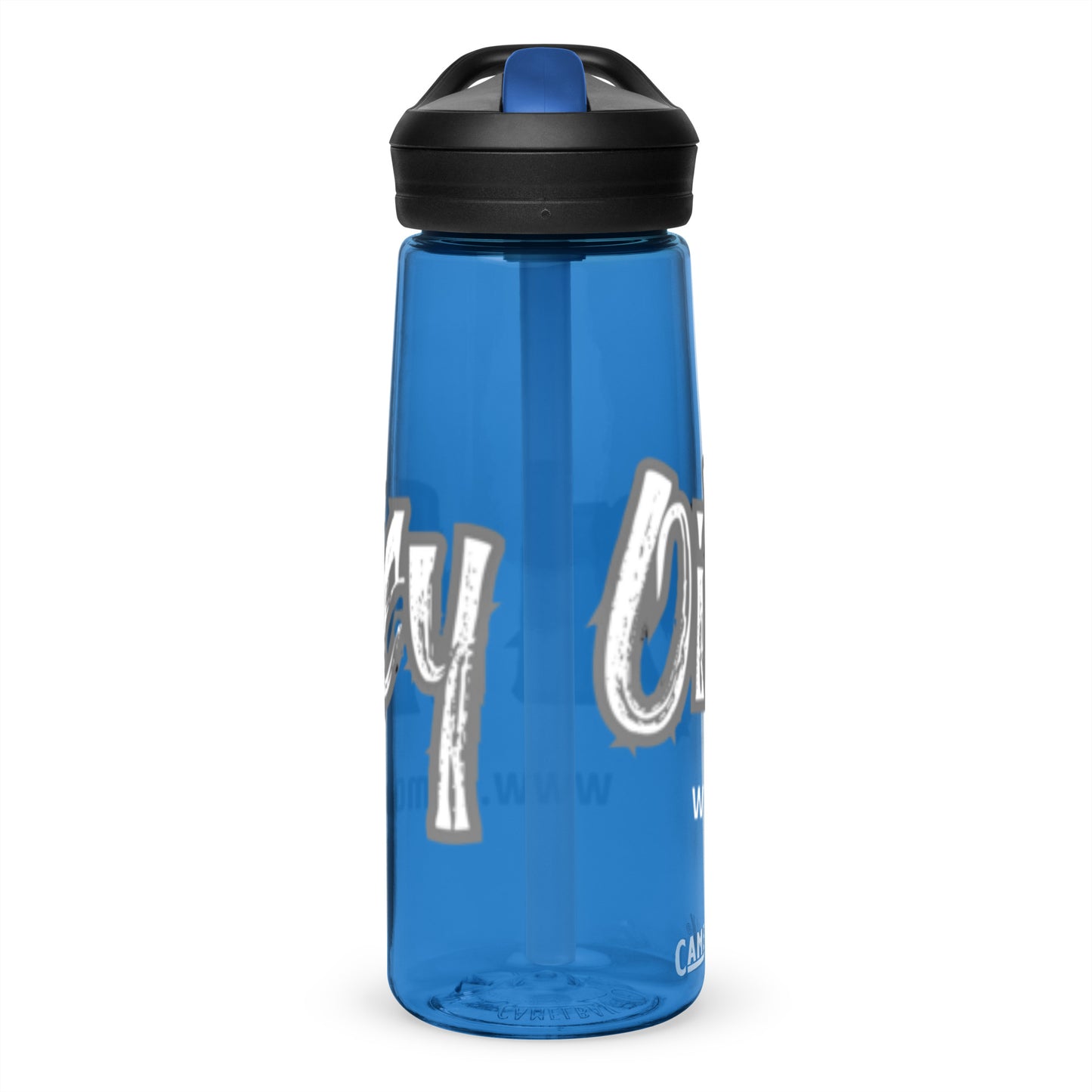 Sports water bottle